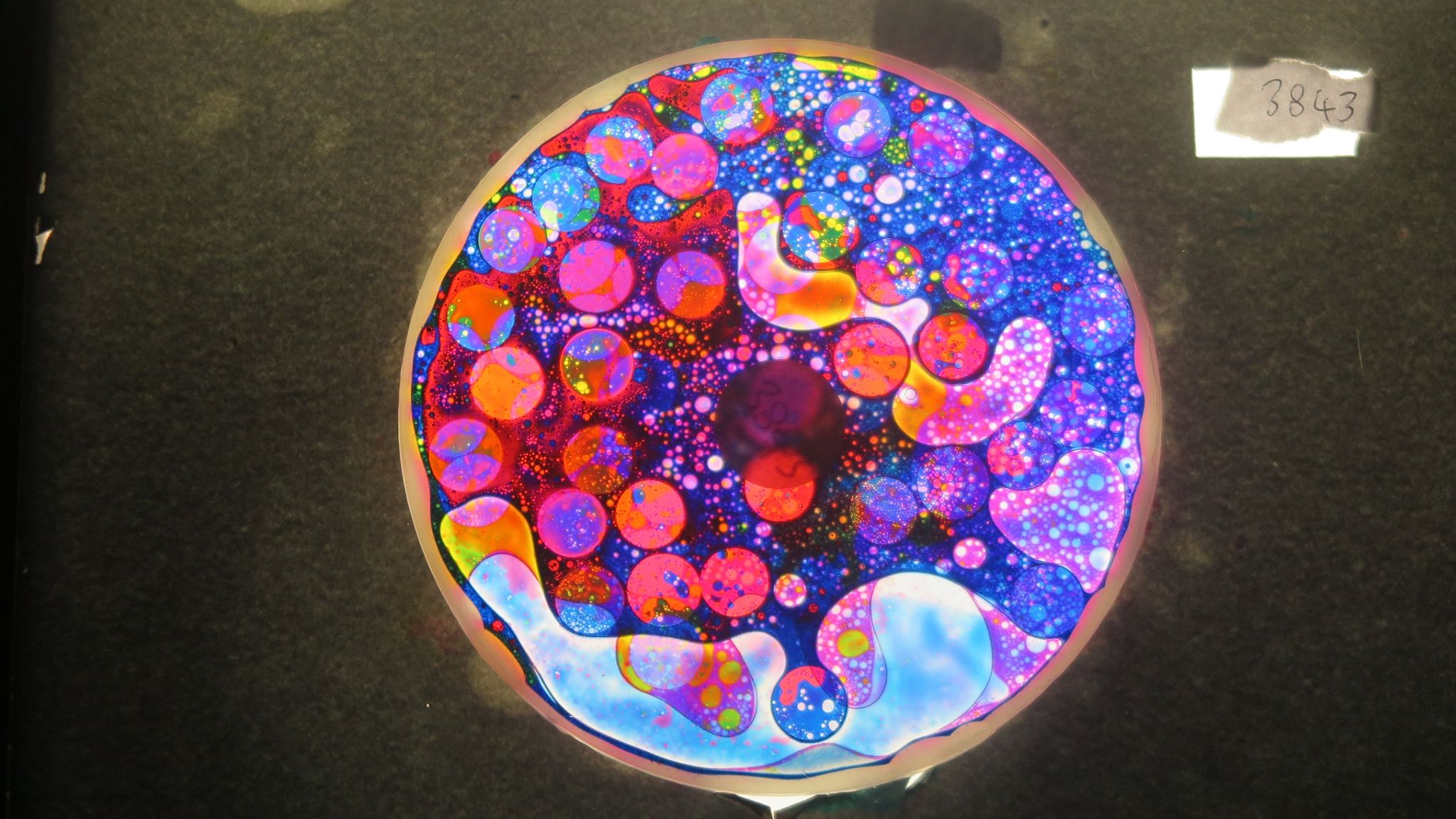 BV3843 bubble vision oil wheel